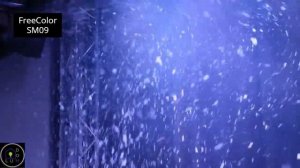 Генератор снега Free Color SM 09