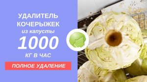 Удалитель кочерыжек из капусты - насадка для ПОЛНОГО удаления