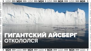 Айсберг размером с Лондон откололся в Антарктиде - Москва 24