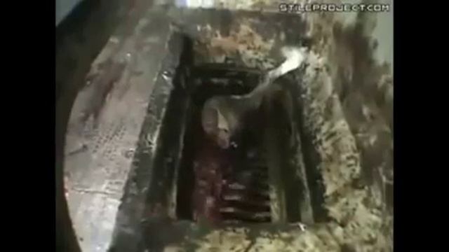 Шок! Так делают колбасу смотреть онлайн