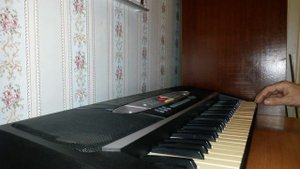 Синтезатор novis Electronics NPN 2063