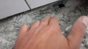 Вскрытие Каналии.