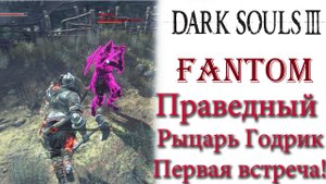 Dark Souls 3 - Фантом Праведный рыцарь Годрик(Первая встреча).