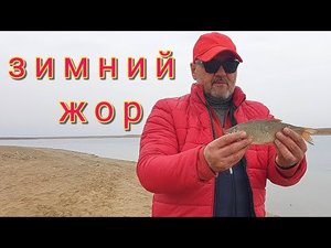 Рыбалка в декабре- там , где нет снега. ( Fishing in December-  where there is no snow )