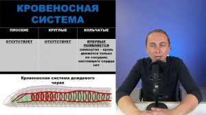 Биология | Сравнительная характеристика различных типов червей