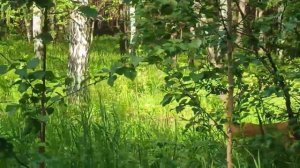 Челябинская область