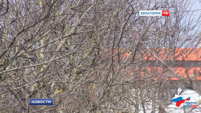 Что будет с амбулаторией в Заозерном?