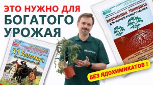 Профессионалы советуют  Эти препараты помогут получить урожай до 3 раз больше обычного!