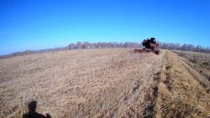 Убираем овес на комбайне Нива СК-5М-1. День второй, сезон 2018.