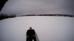 Покатушки на мотобуксировщике Мужик  едем по полям и проселкам