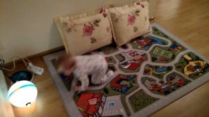 Ребёнок 8 месяцев начал ползать