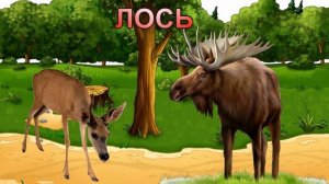 Дикие животные России. Ознакомительное видео для детей.