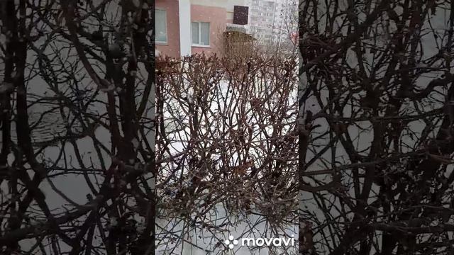 Хроника погоды 15.12.22