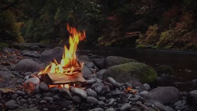 -Campfire by the River - Relaxing Fire and Nature Sounds.mp4