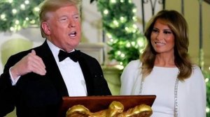 «Глаз не отвести»: Мелания Трамп появилась на балу в свадебном платье за 4000 долларов