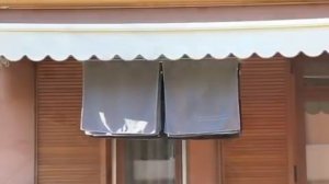 Сушилка для белья с электроприводом Foxydry air150 в интернет магазине mebelsupermarket ru