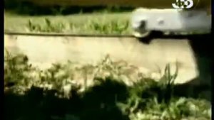 Первый полёт братьев Райт