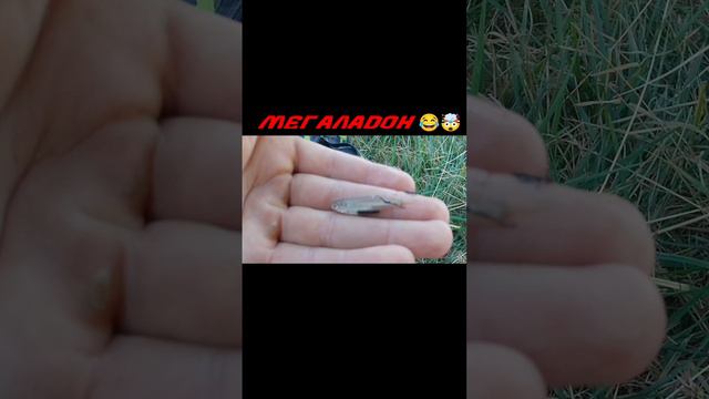ЭТО РЕАЛЬНО МЕГАЛАДОН😂 #юмор #рыбалка #прикол #МЕГАЛАДОН #лето #природа #август #21