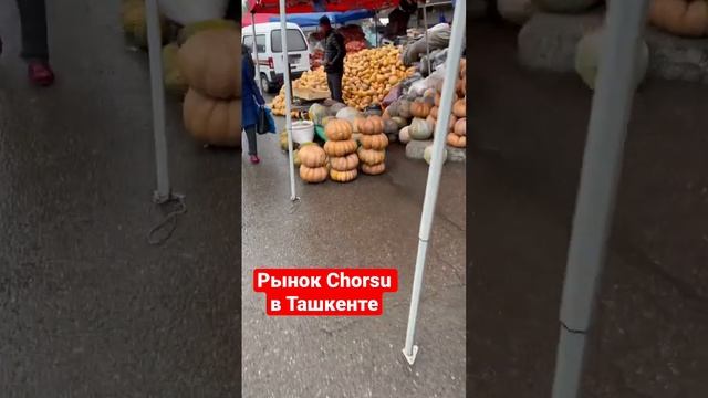 Рынок Chorsu Ташкент #узбекистан #uzbekistan #tashkent #ташкент #bazar #базар