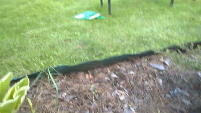 ДАЧНАЯ КРАСОТА И ВКУСНОТА смотреть онлайн