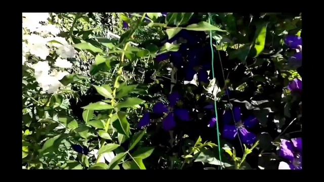 Розарий своими руками.Премудрости и нюансы.