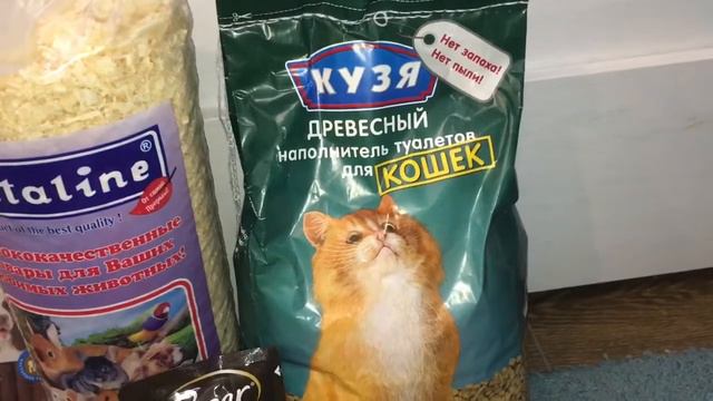 ПОКУПКИ ИЗ ЗООМАГАЗИНА || HAPPY PETS