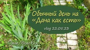 Делю хосту, борюсь со снытью... | Vlog Дача как есть. Хроника 22.05.2023