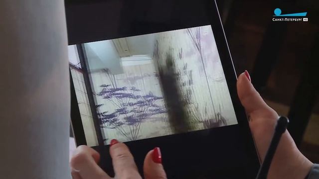 Зона особого внимания. Плесень в доме и квартиры без холодной воды. #9 смотреть онлайн