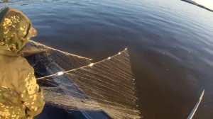 Рыбалка сетями на Амуре.  Промысловый лов.  Кета.  Лосось.