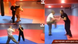 Обзор техники Шоу Дао