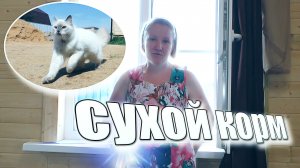 Сибирские Невские Маскарадные Кошки - Сухой корм ??