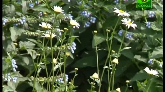 Православная детская оздоровительная площадка " смотреть онлайн