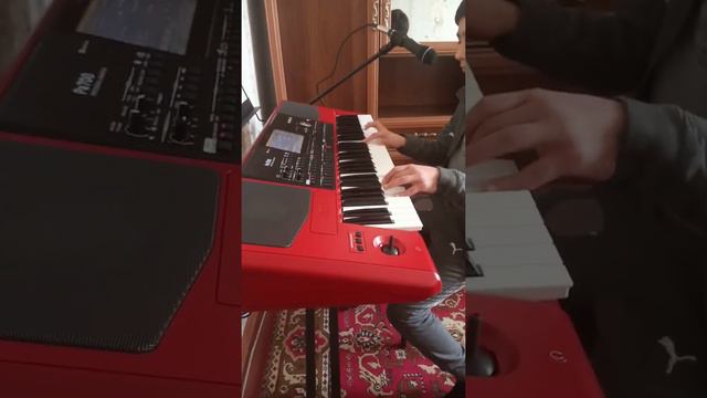 KORG Pa 700 RD dolya смотреть онлайн