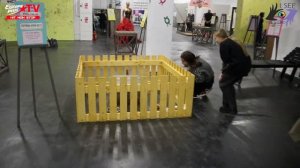 ВЫСТАВКА УДИВИТЕЛЬНЫХ ФАКТОВ В МИНСКЕ "НИЧОСЕ"