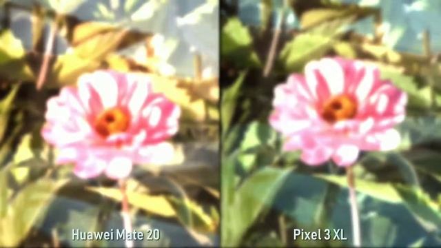 Test Kamera Huawei Mate 20 Vs Google Pixel 3 XL смотреть онлайн