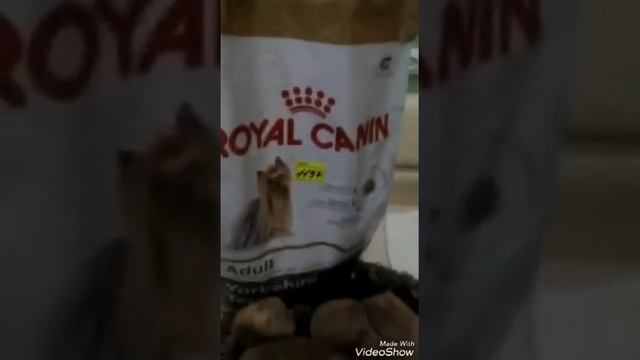 Что нужно Йорку на первое время смотреть онлайн