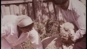 Ногайские чабаны