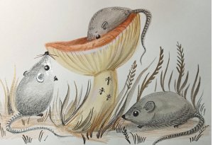 Лесные мышки - рисунок акварельными красками и тушью.