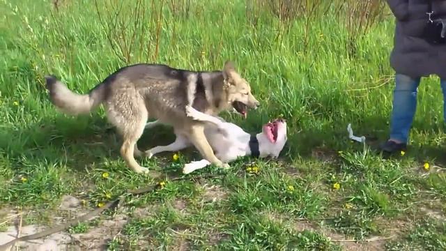 Юки и Один в первый день лета смотреть онлайн