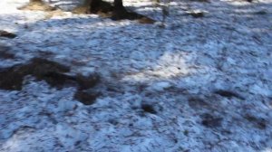 По ТРОПинкАМ паМЯТИ, в Морово о Комсомольске-на-Печорке