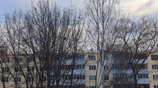 379. С Рождеством Христовым! Запекла рыбу и открыла ассорти:помидоры с огурцами и перцем.🤗❄️🎄❄️🧚❄️🎄