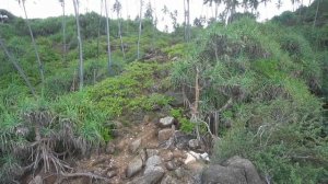 Шри Ланка, Мириса, путешествие