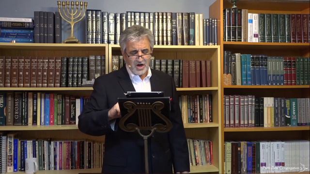 Книга Захарии, проповедь 19: "Тот, кто заботится, возвращает, исцеляет и кормит" - 13 июня 2020 смотреть онлайн