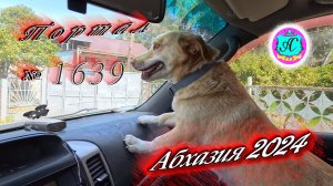 #Абхазия2024 🌴 17 апреля❗Выпуск №1639❗ Погода от Серого Волка🌡вчера 28°🌡ночью +17°🐬море +13,2°
