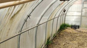 Про теплицу, поликарбонат. Поликарбонат Скарб-Pro. Теплица после 8 лет эксплуатации.