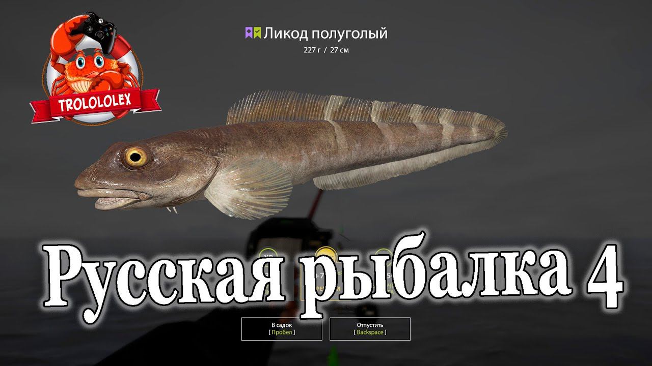 Русская рыбалка 4 в поисках редких видов смотреть онлайн