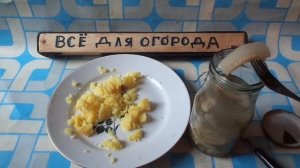 Мукбанк еда на камеру \картошка отварная и маринованные кабачки\Beggars' Food