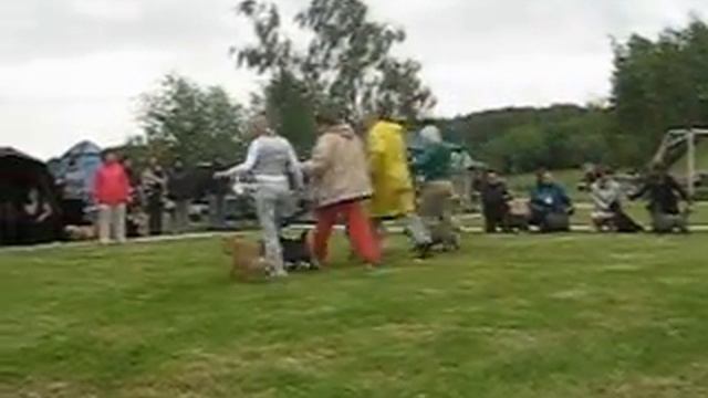 НЧ НКП КЕРН ТЕРЬЕР 2012 Лучший Производитель смотреть онлайн