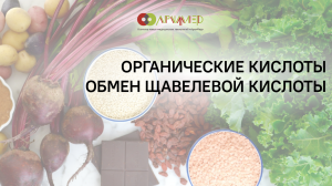 Анализ на органические кислоты в моче: интерпретация результатов. Обмен щавелевой кислоты