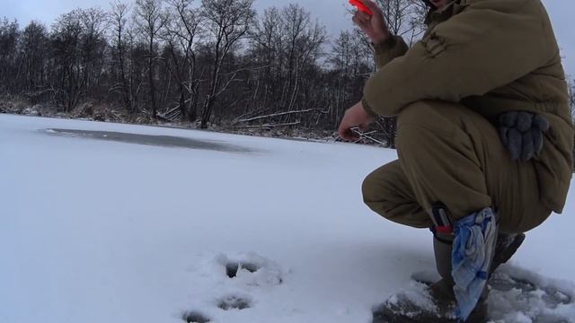 ОКУНЬ В ЛЕСНОМ ОЗЕРЕ.ОБНАРУЖИЛ БОМБУ. смотреть онлайн